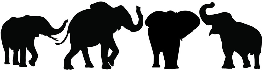 silhouette of a Elephants