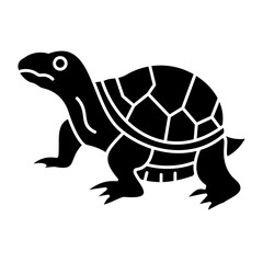 Box Turtle Icon