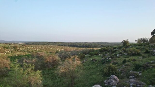 Two military helicopters in northern israel