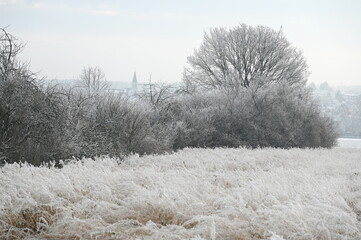 Winter bei Urberach
