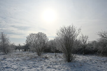 Winter bei Urberach