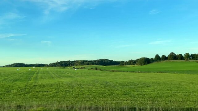 Car side window view of white hay bales in wavy field of Samogitia, Western Lithuania, Europe.