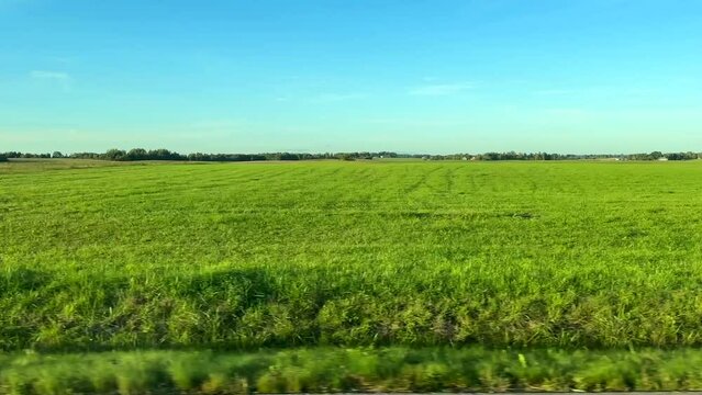 Beautiful scenery, wavy fields in Samogitia, Lithuania. View through car side window, driving plate.