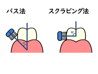 歯の磨き方 バス法とスクラビング法のイラスト素材