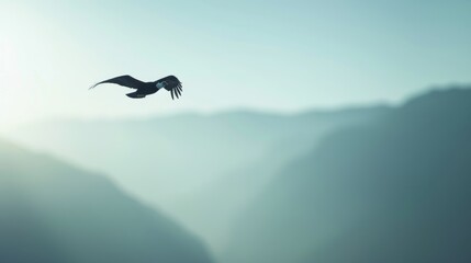 Fototapeta premium A solitary bird soars gracefully over misty mountain ranges, capturing the essence of freedom and nature's serenity in a tranquil scene.