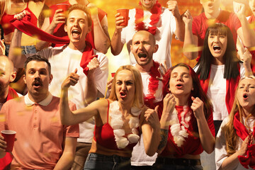 United in Celebration. Lively crowd of fans, men and women, on stands reveling in excitement of final game. Concept of sport, competition, support, world, cup. Ad © Lustre Art Group 