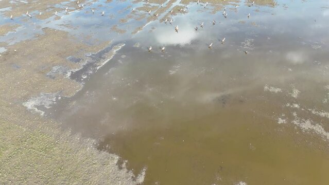 Flug &uuml;ber Nilg&auml;nse