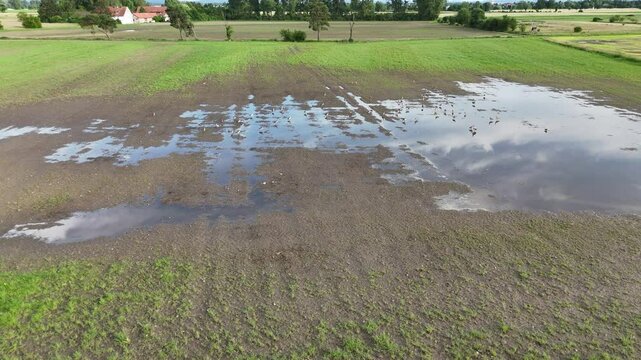 Flug &uuml;ber Nilg&auml;nse