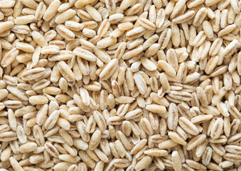 Dry raw organic healthy oat grain seeds textured background.Macro.