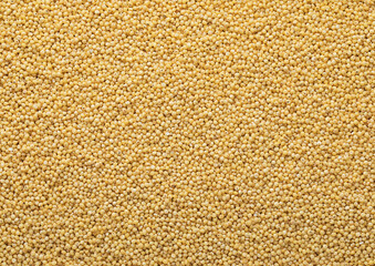 Yellow raw organic healthy millet grain seeds textured background.Macro.