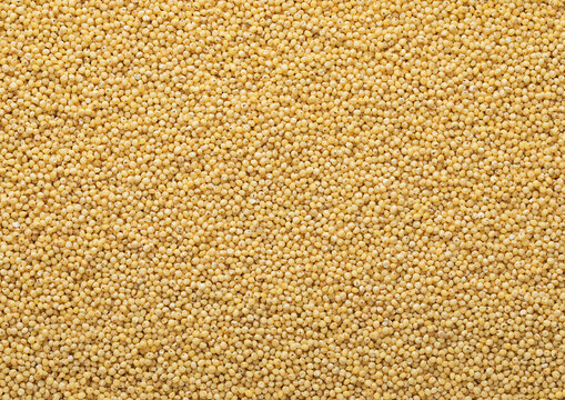 Yellow raw organic healthy millet grain seeds textured background.Macro.