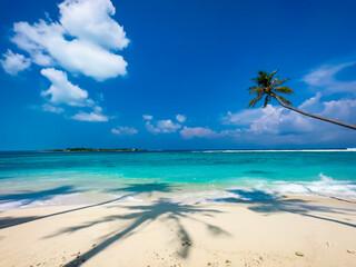 Banner travel with summertime with palm tree and Tropical beach with blue of seashore background