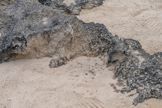 Older dune deposits , Lāʻie Point State Wayside, Oahu, Honolulu, Hawaii. Eolianite or aeolianite is any rock formed by the lithification of sediment deposited by aeolian processes; that is, the wind. 