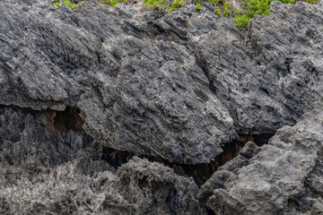 Older dune deposits , Lāʻie Point State Wayside, Oahu, Honolulu, Hawaii. Eolianite or aeolianite is any rock formed by the lithification of sediment deposited by aeolian processes; that is, the wind. 