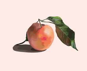Adobe Illustrator Artwork fruit peach vector