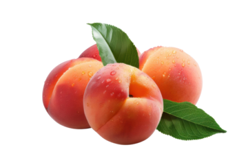 Three ripe peaches with water droplets and leaves.