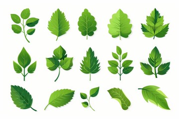 Poster or banner design with green leaf icons set on transparent background. ECO and environment friendly. World Earth Day and green energy related. PNG format.