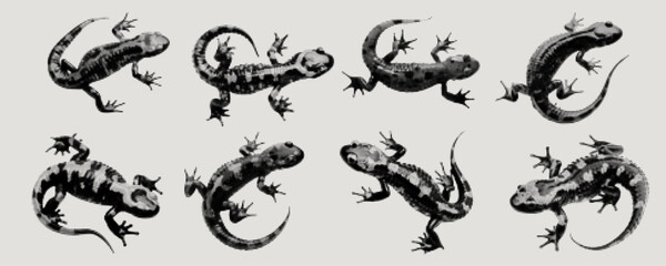 retro halftone texture vintage dotted pop art style collage elements