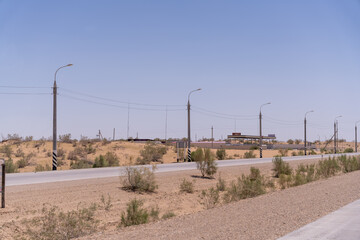 A road with a few trees and a few poles. The sky is blue