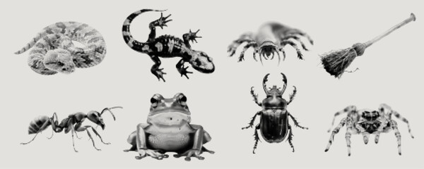 Collection set of halftone retro effect design elements in trendy collage magazine style.