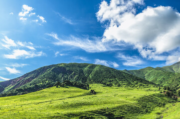 Green meadow against the backdrop of mountains covered with green forest. Blue sky with clouds....