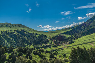 Fototapeta premium Green mountains covered with juniper forest and a mountain valley. Sunny day in the mountains.