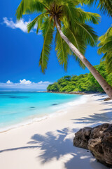 Pristine tropical shore with palm shadows and blue sky