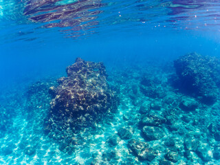 ウミトサカ等のソフトコーラルが群生する岩場に集まる、美しいソラスズメダイ（スズメダイ科）他の群れとスキンダイバー。

日本国静岡県伊豆半島賀茂郡南伊豆町中木から渡し船で渡るヒリゾ浜にて。
2022年9月撮影。
A skin diver with a beautiful schools of Heavenly Damselfish (Pomacentrus coelestis) and others