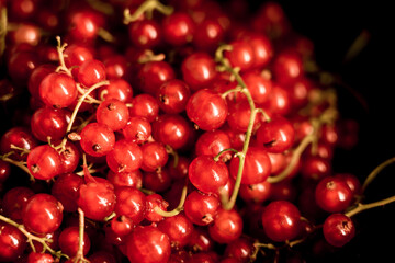 Red currants in a plate on a black background.red currant isolate.Berry concept