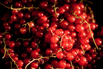 Red currants in a plate on a black background.red currant isolate.Berry concept