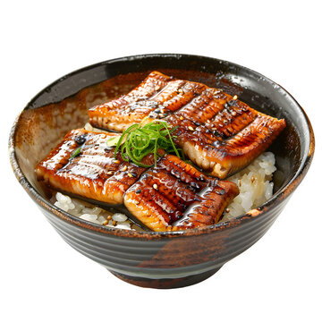 Delectable unagi donburi on transparent background