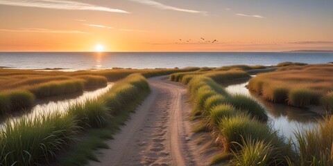 A dirt trail winding down to the ocean background, with ducks gliding across the water and reeds swaying in the breeze