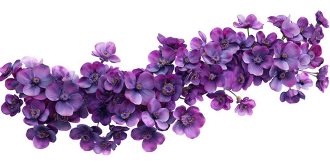 Cascading Purple Flower Cluster