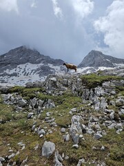 Steinernes Meer in Saalfelden und Maria Alm