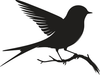 Bird on a white background