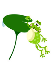 Cute frog hanging from water lily leaf