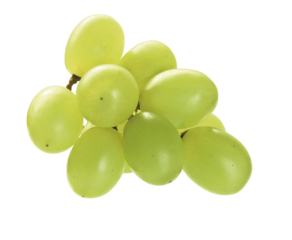 Weintrauben, hell