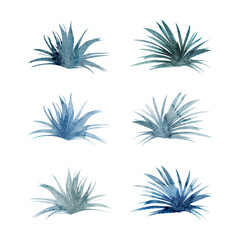 Watercolor and ink hand drawn marine life, sea ocean underwater creatures. fish, shells algae seaweed. Single object illustration, stylized, isolated on white. Zoo shop, aquarium, cosmetics, resort