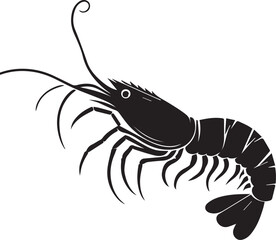 Shrimp vector illustration