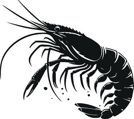 Shrimp vector illustration
