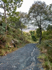 Path in Glenveagh National Park, Republic Donegal, Ireland