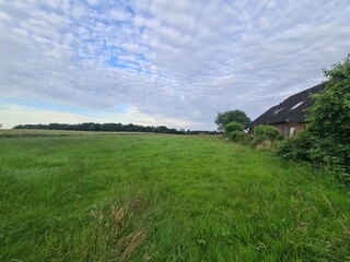 Wiesenlandschaft in Einhaus, einem Dorf in der Nähe von Ratzeburg, Schleswig - Holstein /...