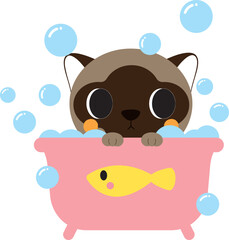 Brown cat in bathtub