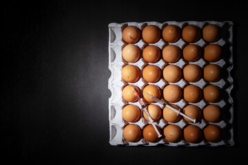 Syringe on egg . food ingredients