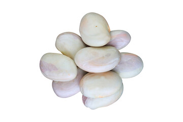 Jackfruit seed isolated on a transparent background