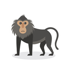  Baboon Animal isolated flat vector illustration on white background