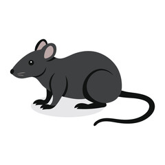  Rat Animal isolated flat vector illustration on white background