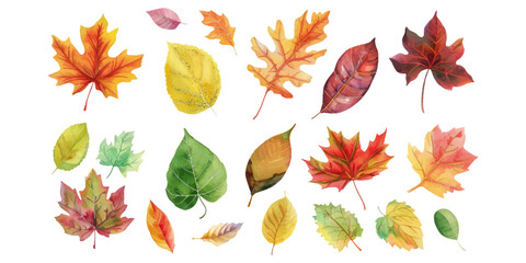 A set of watercolor autumn leaves isolated on a white background