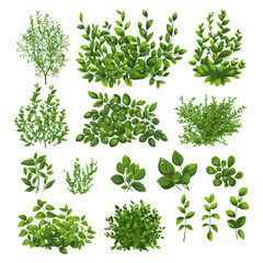 Fototapeta premium series of silhouettes of green bushes, figures on a white background.