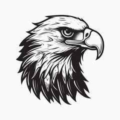 Fototapeta premium Majestic eagle head illustration